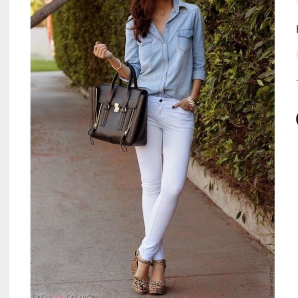 Meet your Posher, Cece - Picture 4 of 4